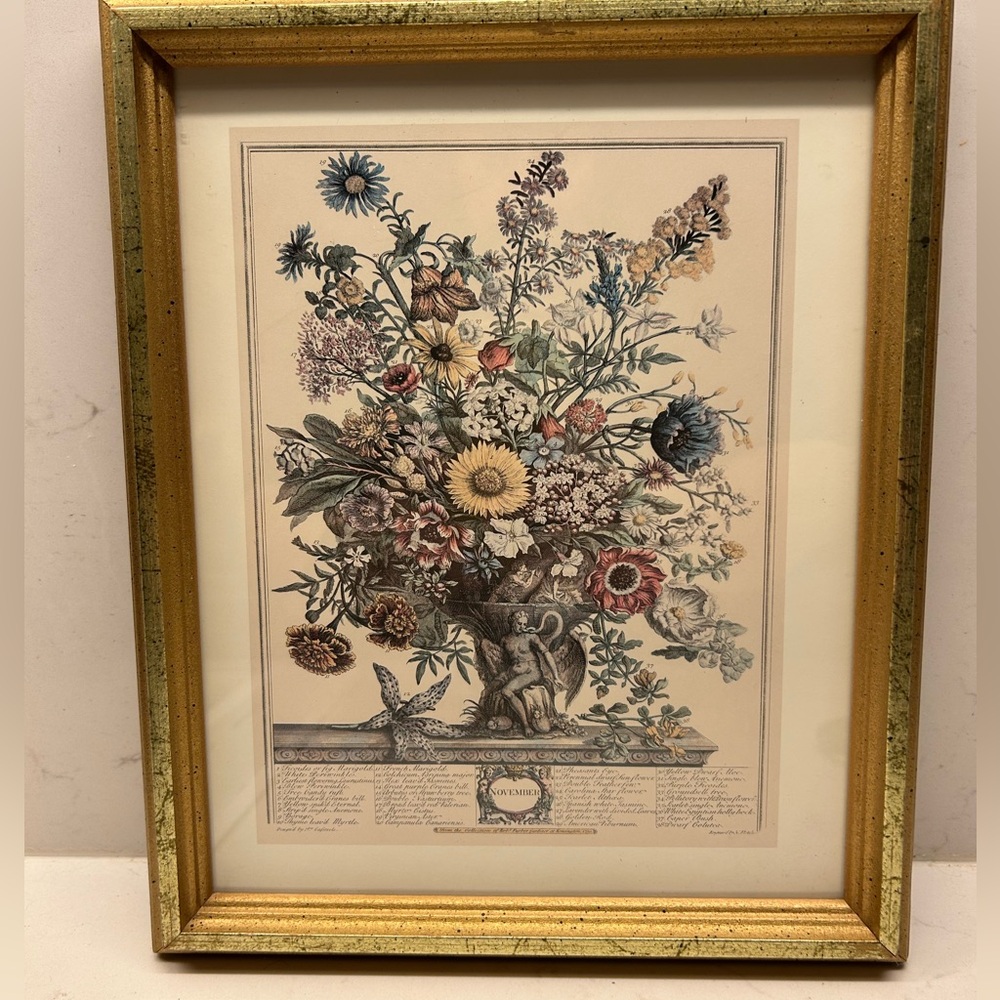 Framed, vintage botanical print titled "NOVEMBER" from Robert Furber’s catalogue